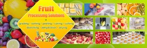 What is Food Equipment? A Comprehensive Guide to Industrial Food Machinery