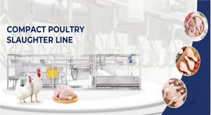 High-Efficiency Poultry Slaughter Equipment Solutions – Boost Your Poultry Processing Productivity