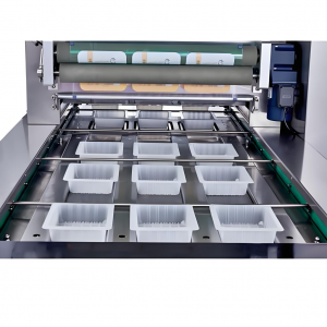Vacuum Packaging Machine: A Comprehensive Analysis of Principles, Classification, Applications, and Features
